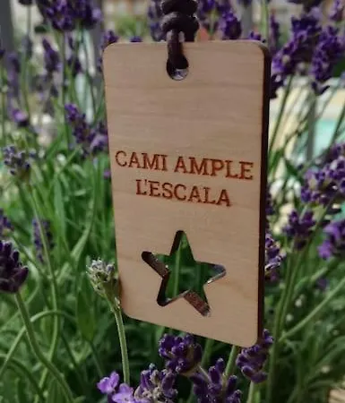 Cami Ample, 2 Hab Con Parking Apartman *