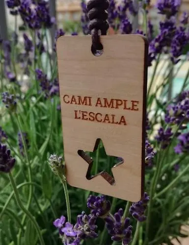 Cami Ample, 2 Hab Con Parking 公寓 *